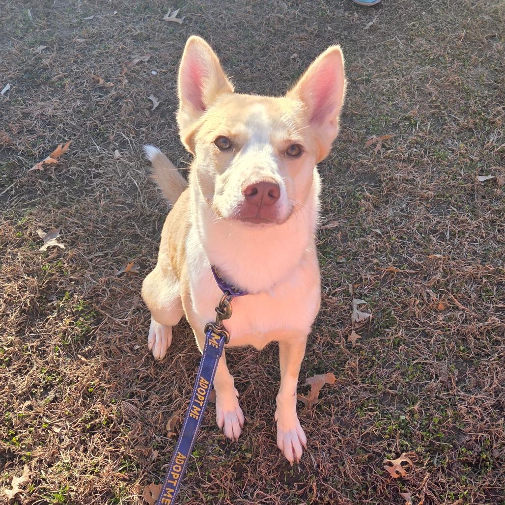 Leah — thumbnail 2