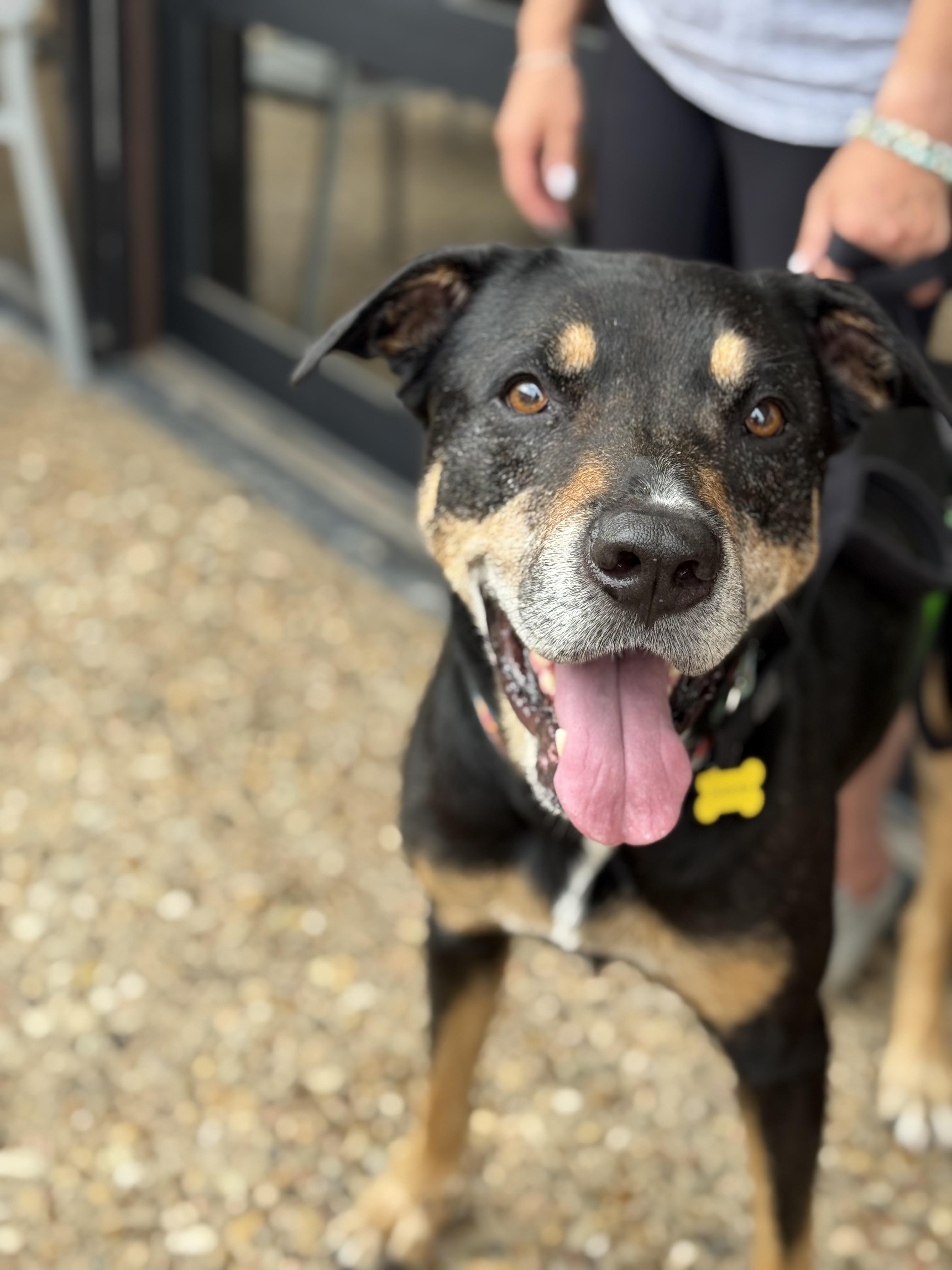 Annie, Senior Female unknown