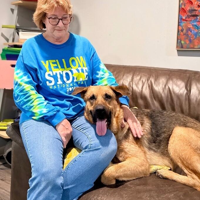 Henry Jo the Sweetheart Shepherd — thumbnail 2