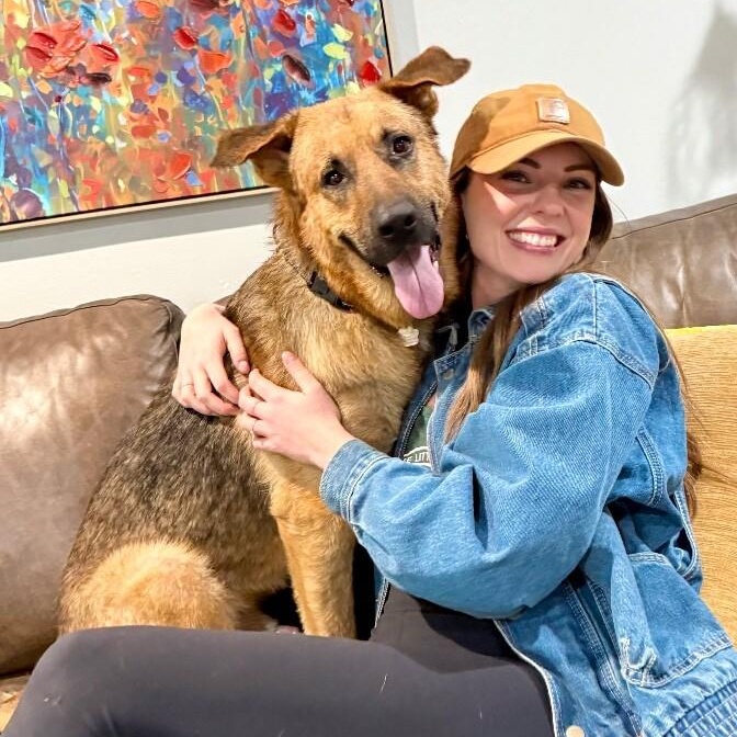 Henry Jo the Sweetheart Shepherd — thumbnail 3