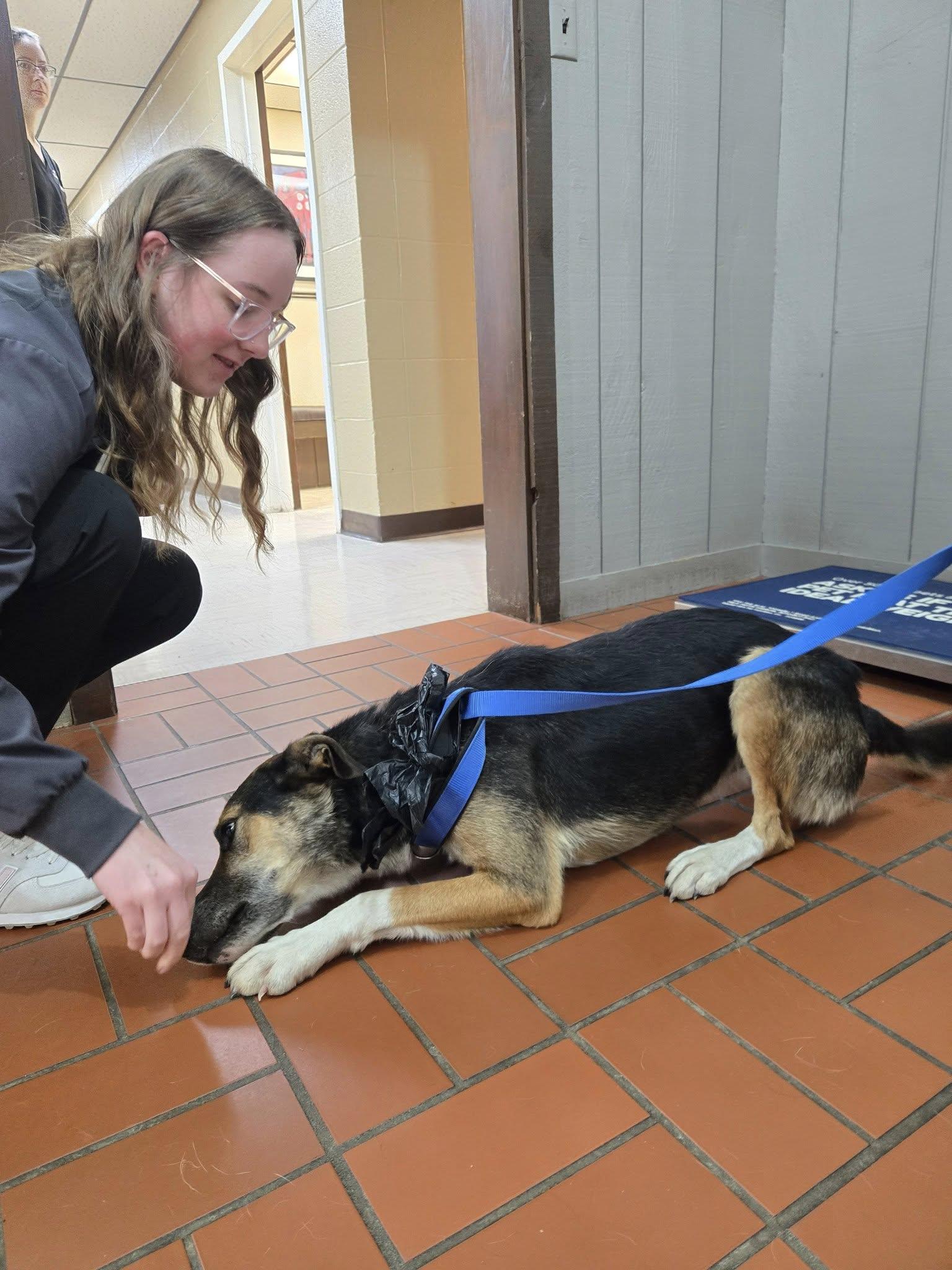 Cowboy, a Adopted mixed breed in Sterling, KS image 4/4