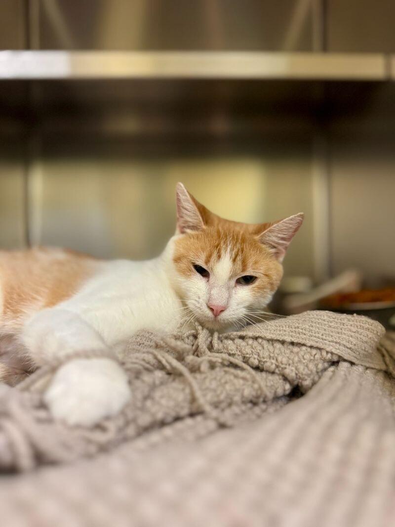 Sunshine thumbnail 4