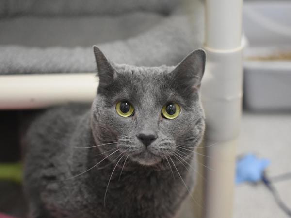 Daisy — thumbnail 2