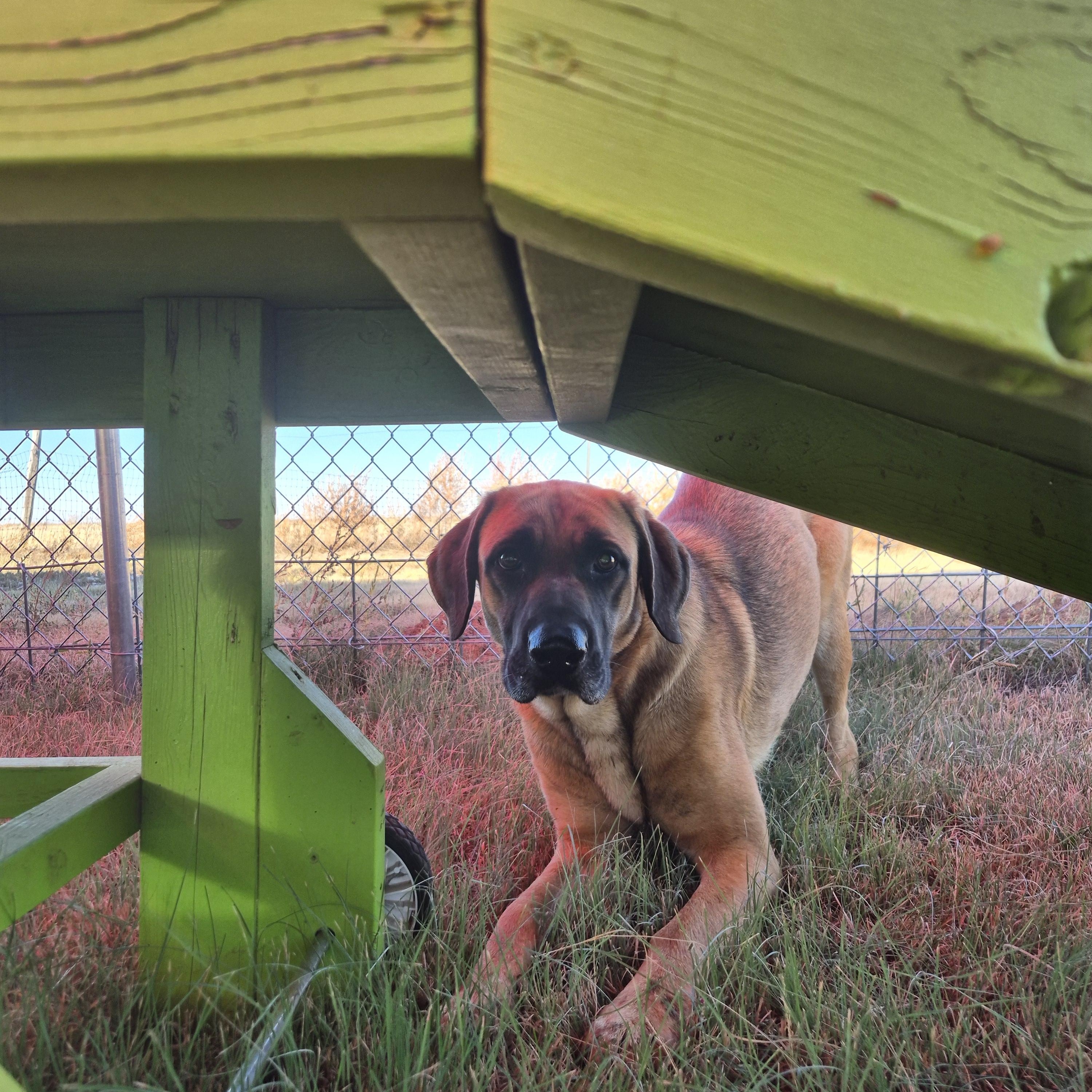 Sarah — thumbnail 2