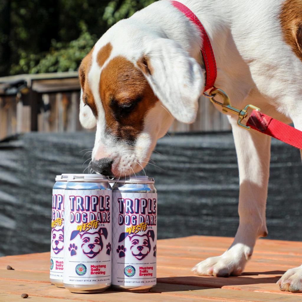 Enlarge Faith Baby, a Adoptable mixed breed in Fairfax Station, VA image 4/6