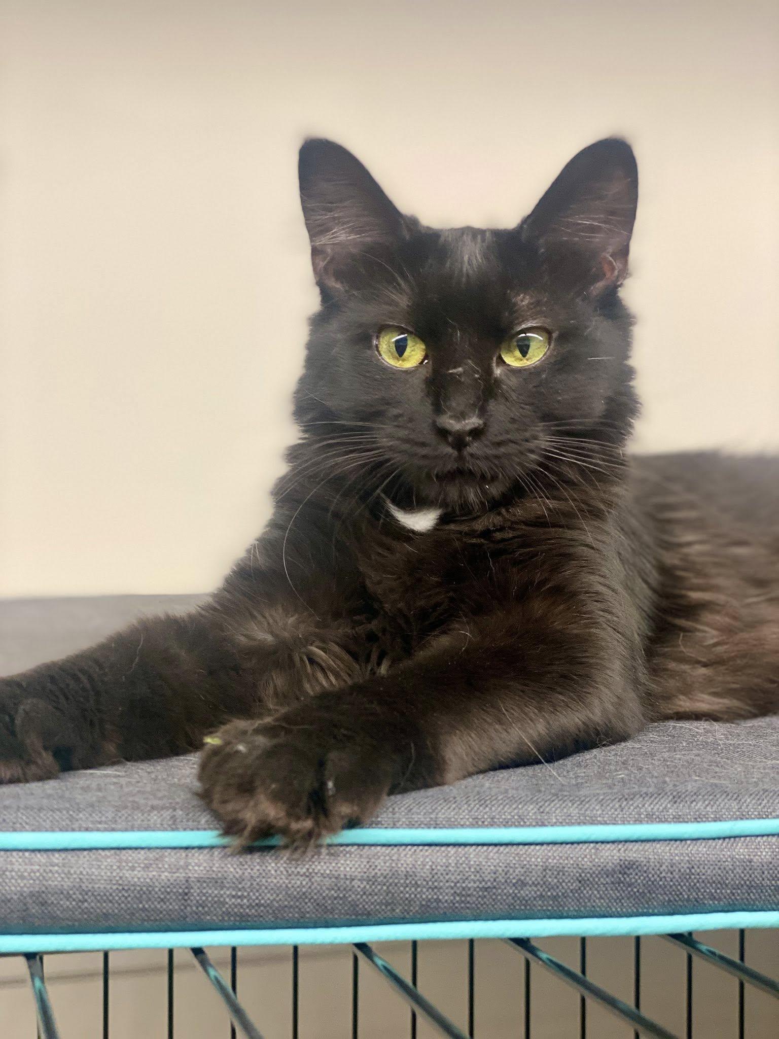 Gina