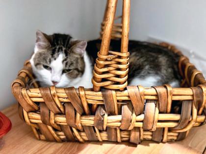 Flower — thumbnail 3