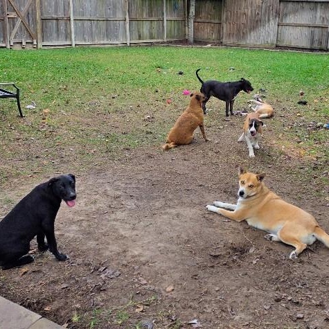 Darling Delilah the blue eyed beauty