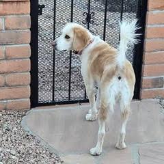 Gracie May — thumbnail 4