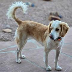 Gracie May — thumbnail 5