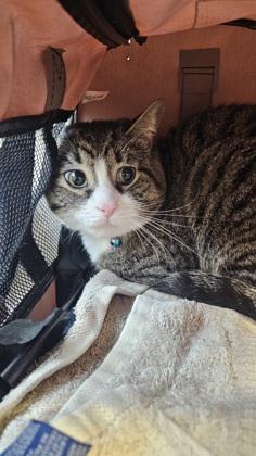 Lighthouse — thumbnail 2