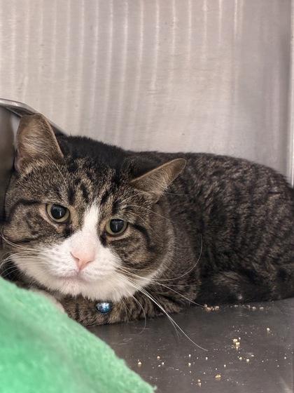 Lighthouse — thumbnail 3