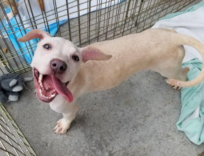 Maggie May thumbnail 2