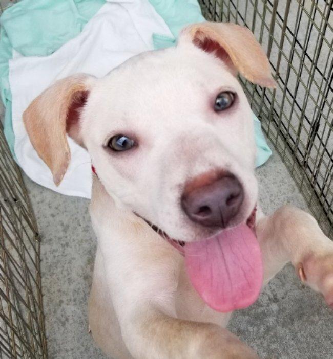 Maggie May thumbnail 3