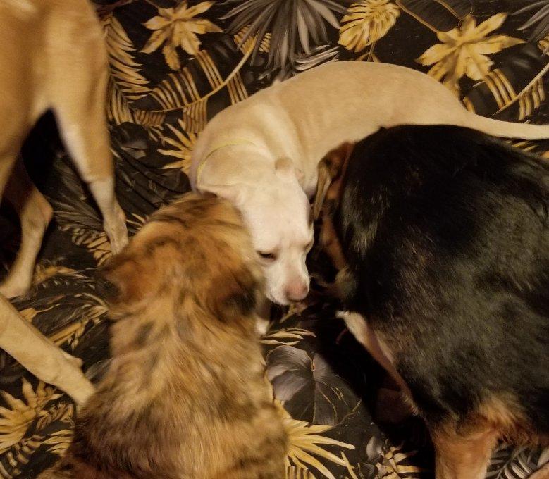 Maggie May thumbnail 4