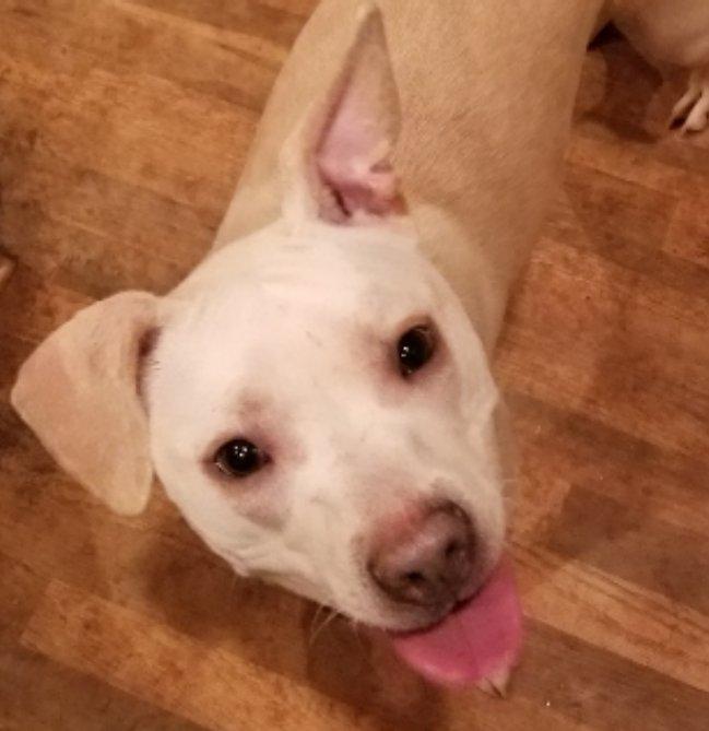 Maggie May thumbnail 5