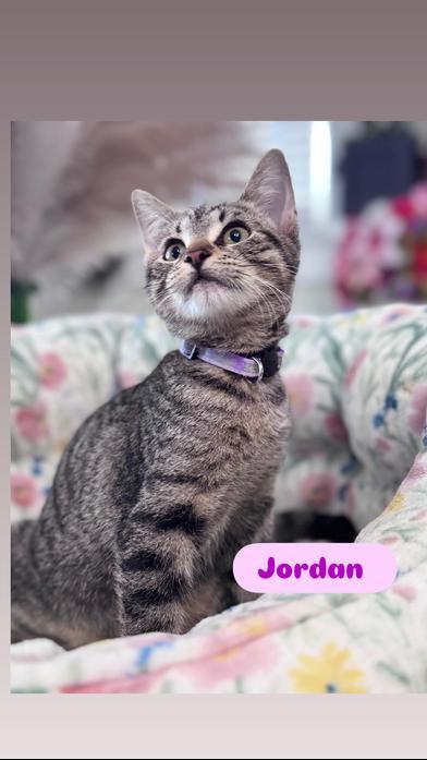 Jordan