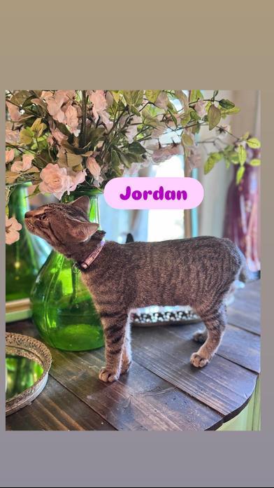 Jordan