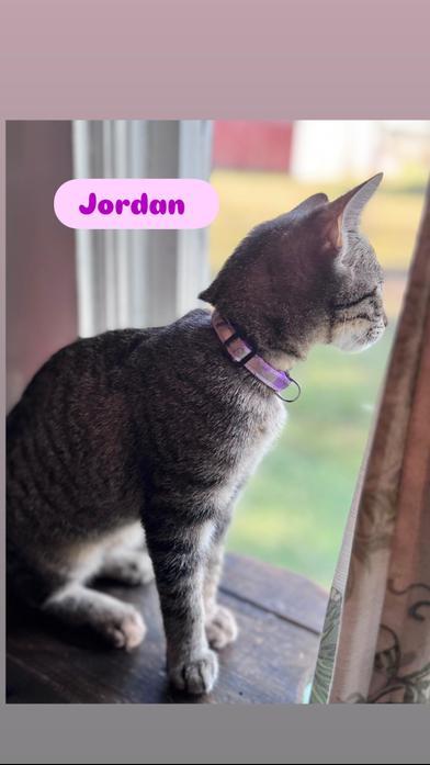 Jordan