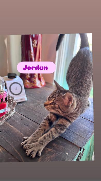Jordan