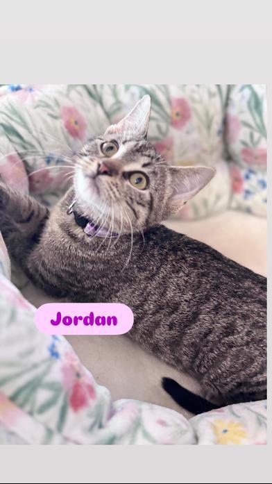 Jordan