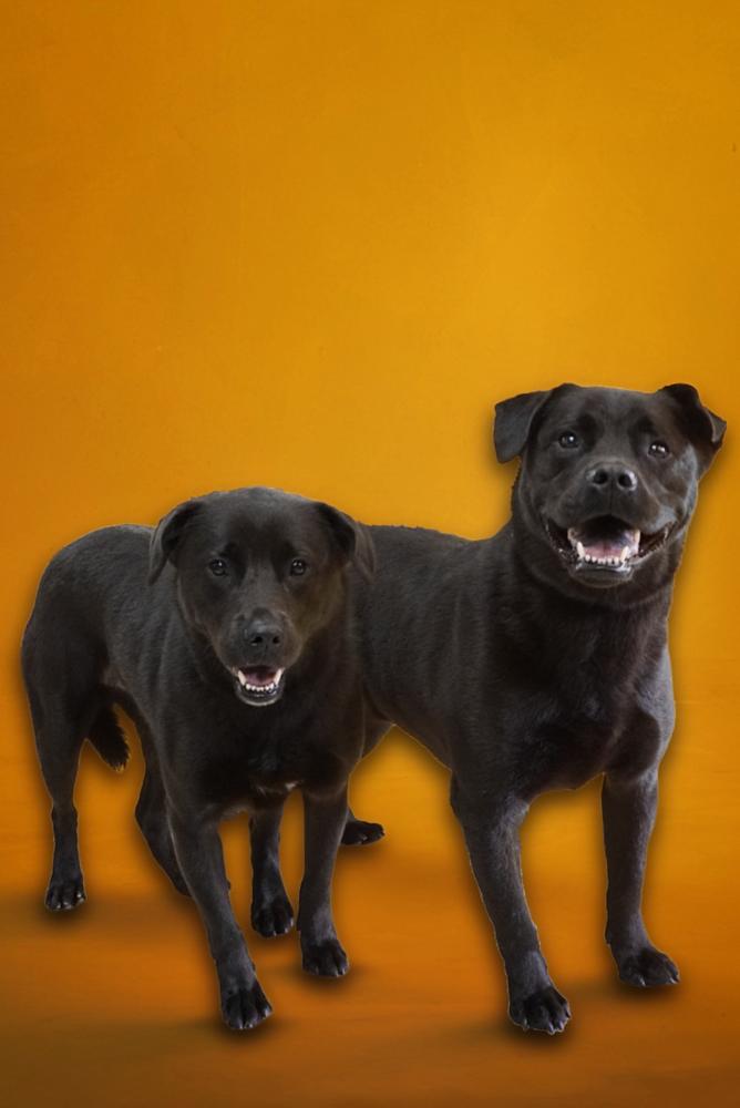 Luke — thumbnail 2