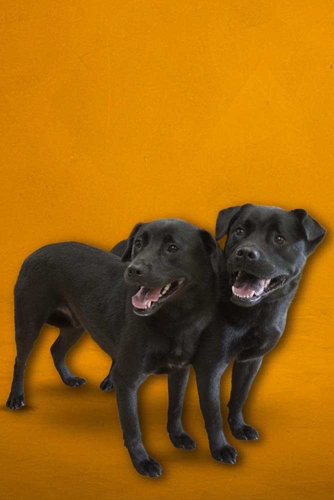 Luke — thumbnail 3