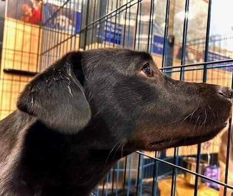 Luke — thumbnail 4