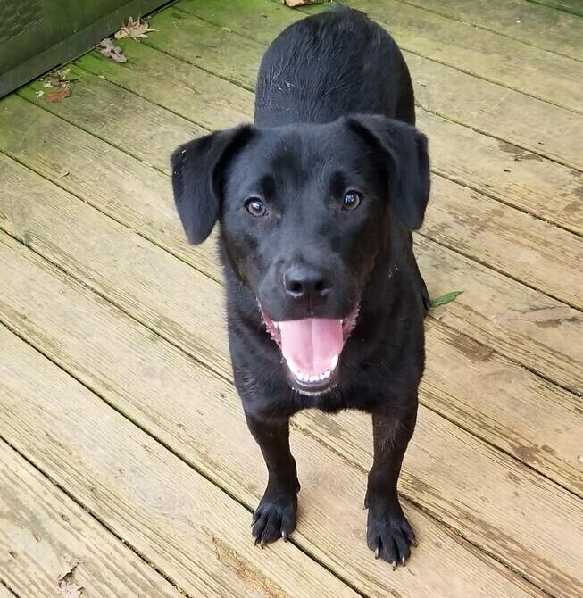 Luke — thumbnail 5