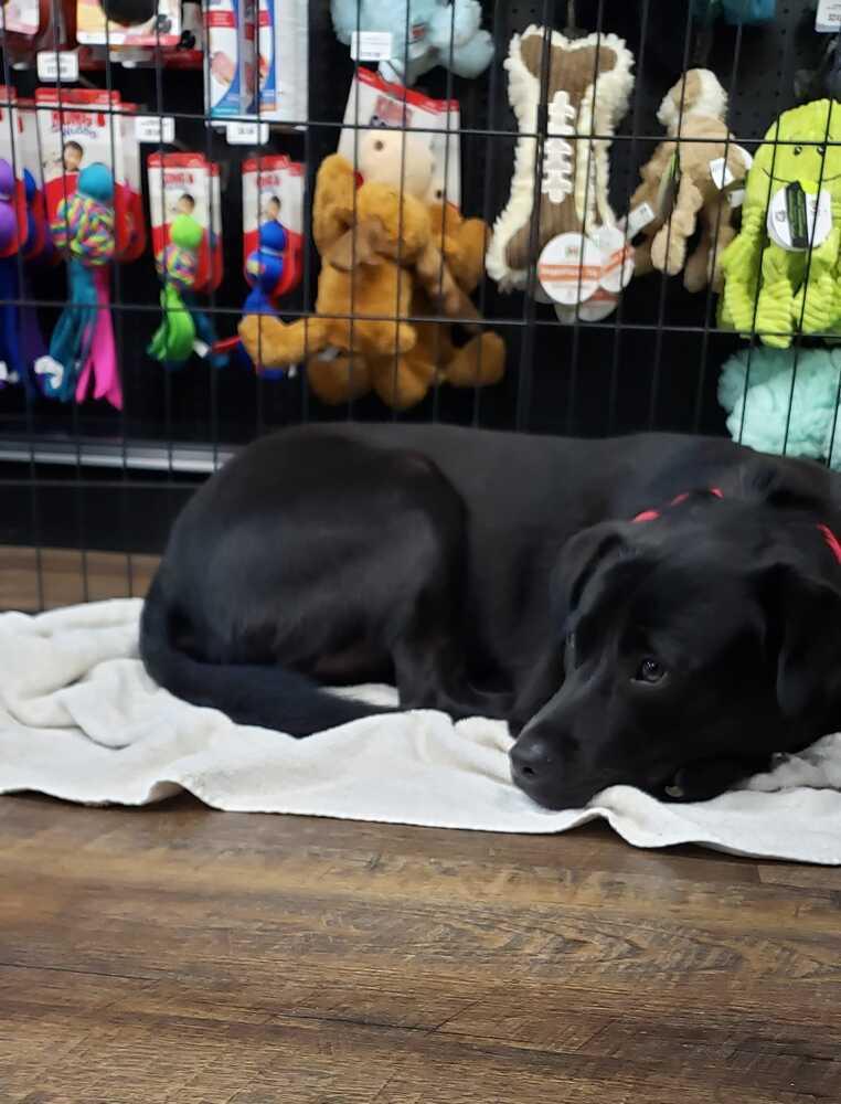 Luke — thumbnail 6