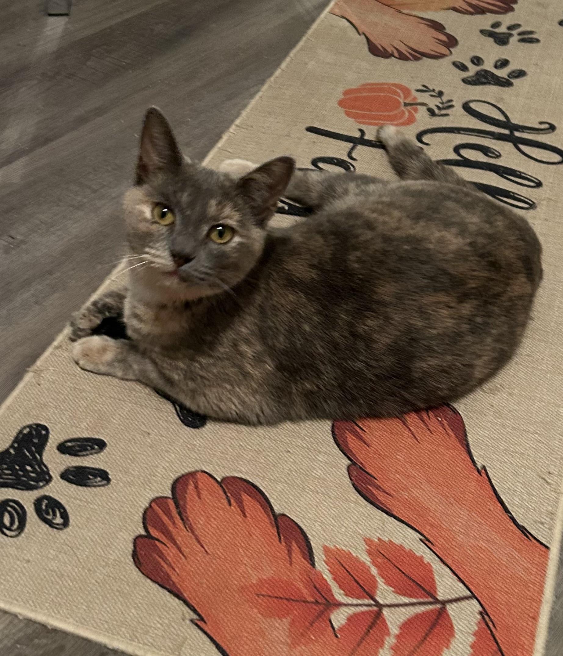 Chito and Manu — thumbnail 5