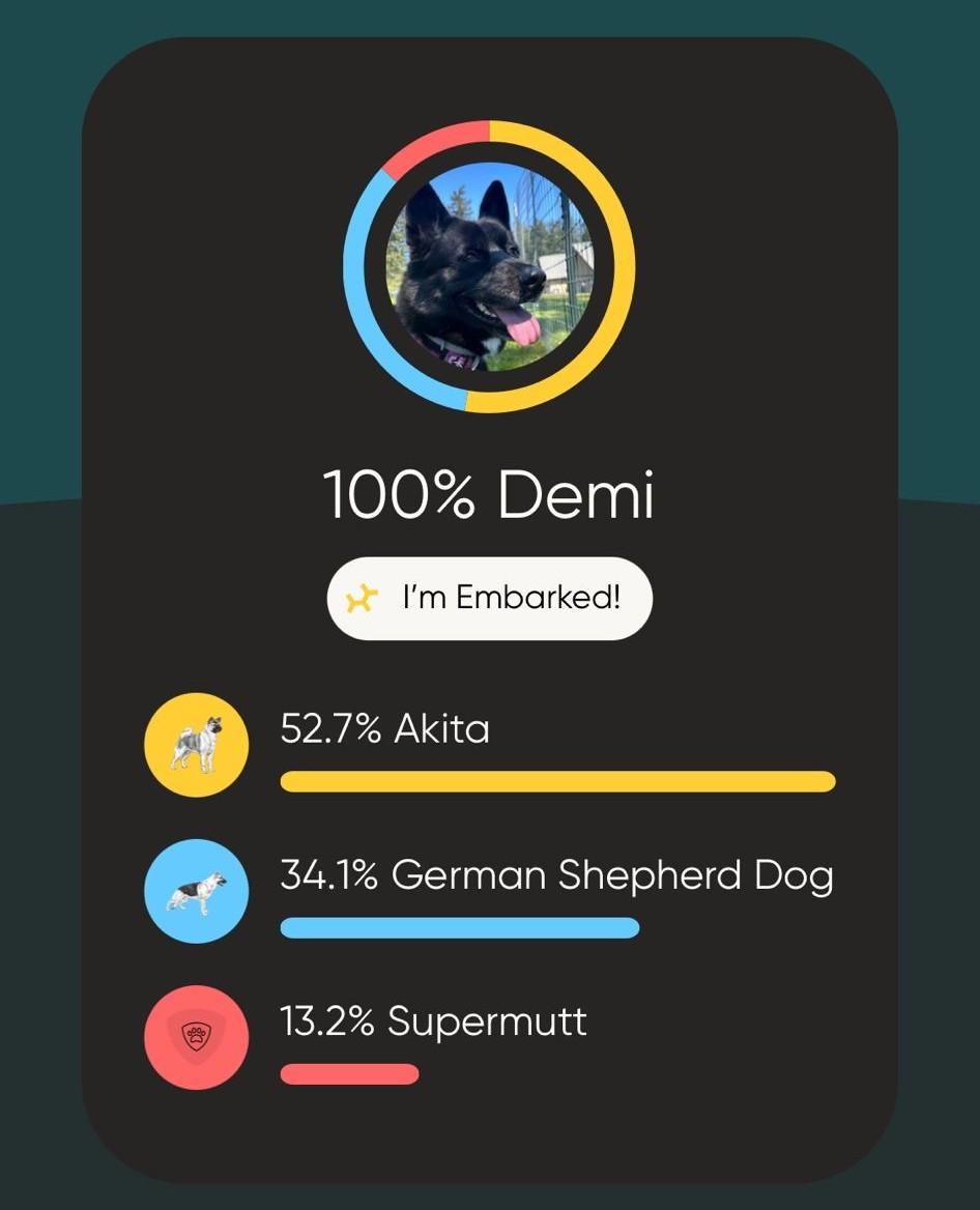 Demi, a ADOPTABLE mixed breed in Friday Harbor, WA image 6/6
