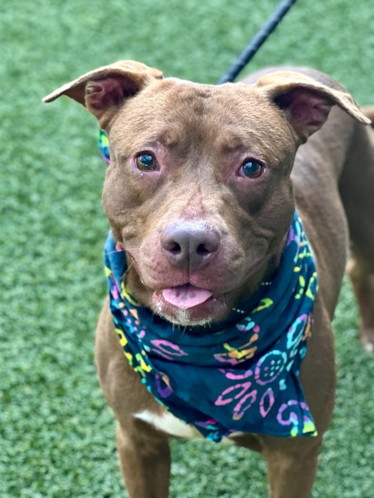 Freckles thumbnail 2