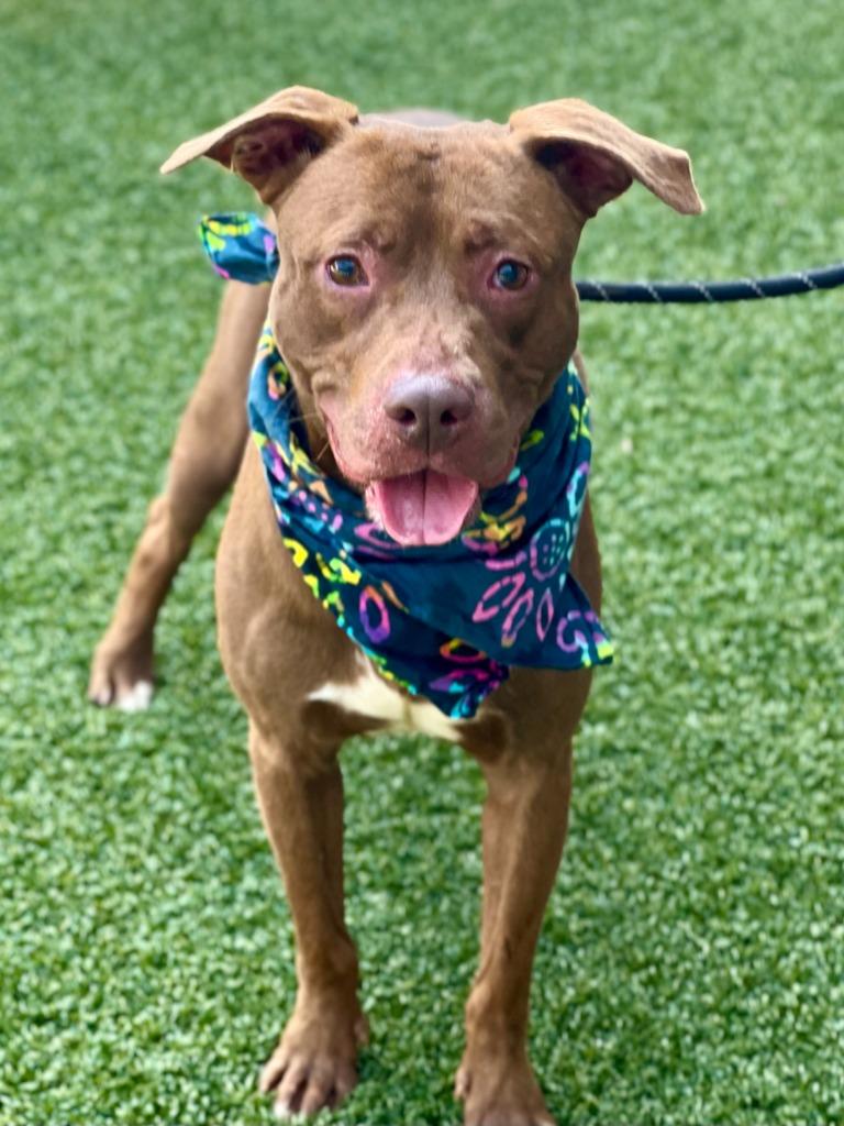 Freckles thumbnail 3