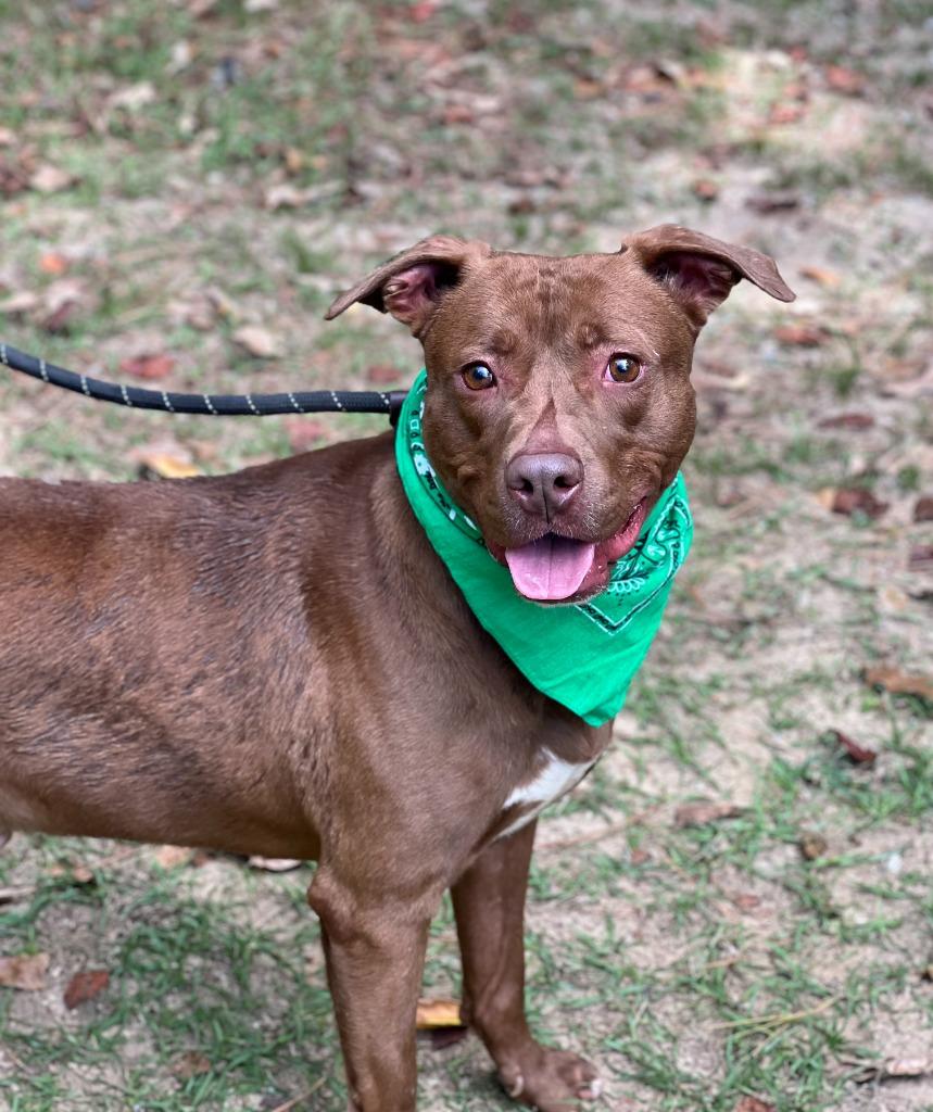 Freckles thumbnail 5