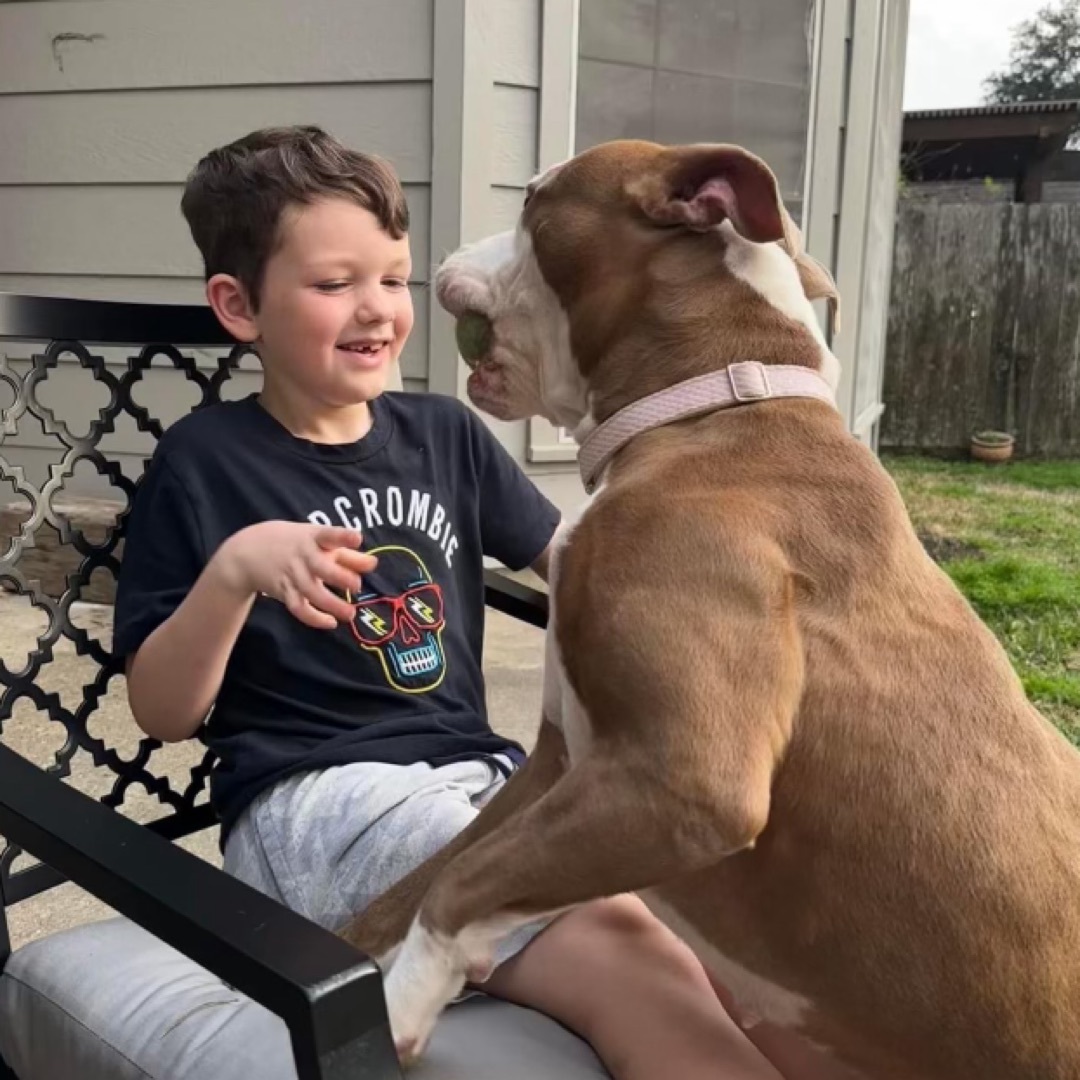 Rosie — thumbnail 2