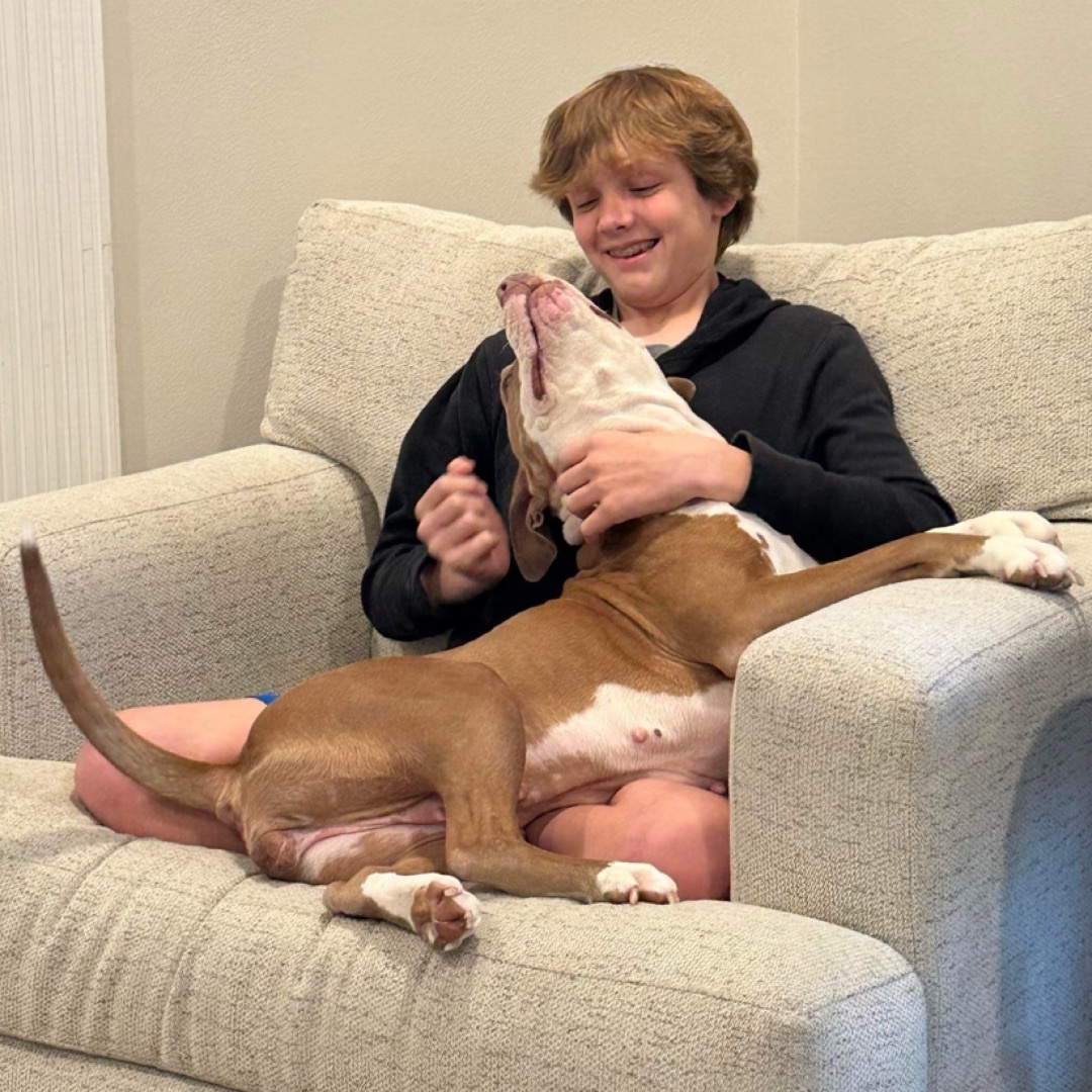 Rosie — thumbnail 4