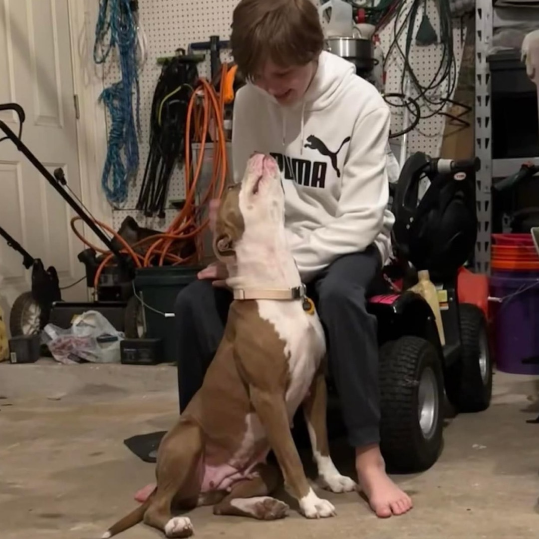 Rosie — thumbnail 5