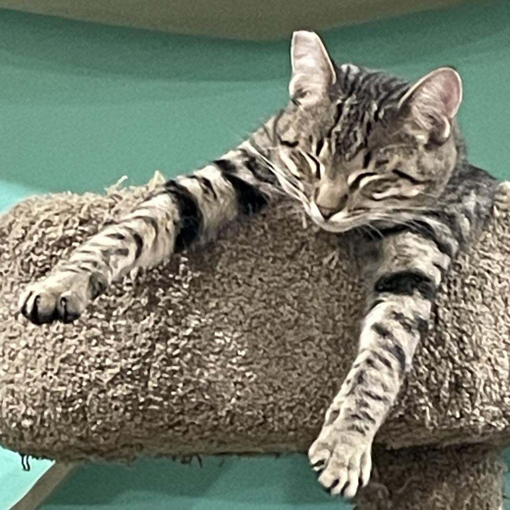 Timothy Catlamet — thumbnail 2