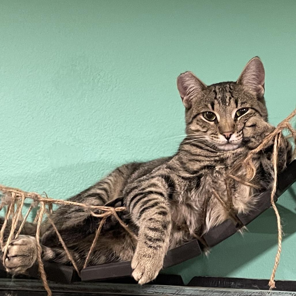 Timothy Catlamet — thumbnail 3