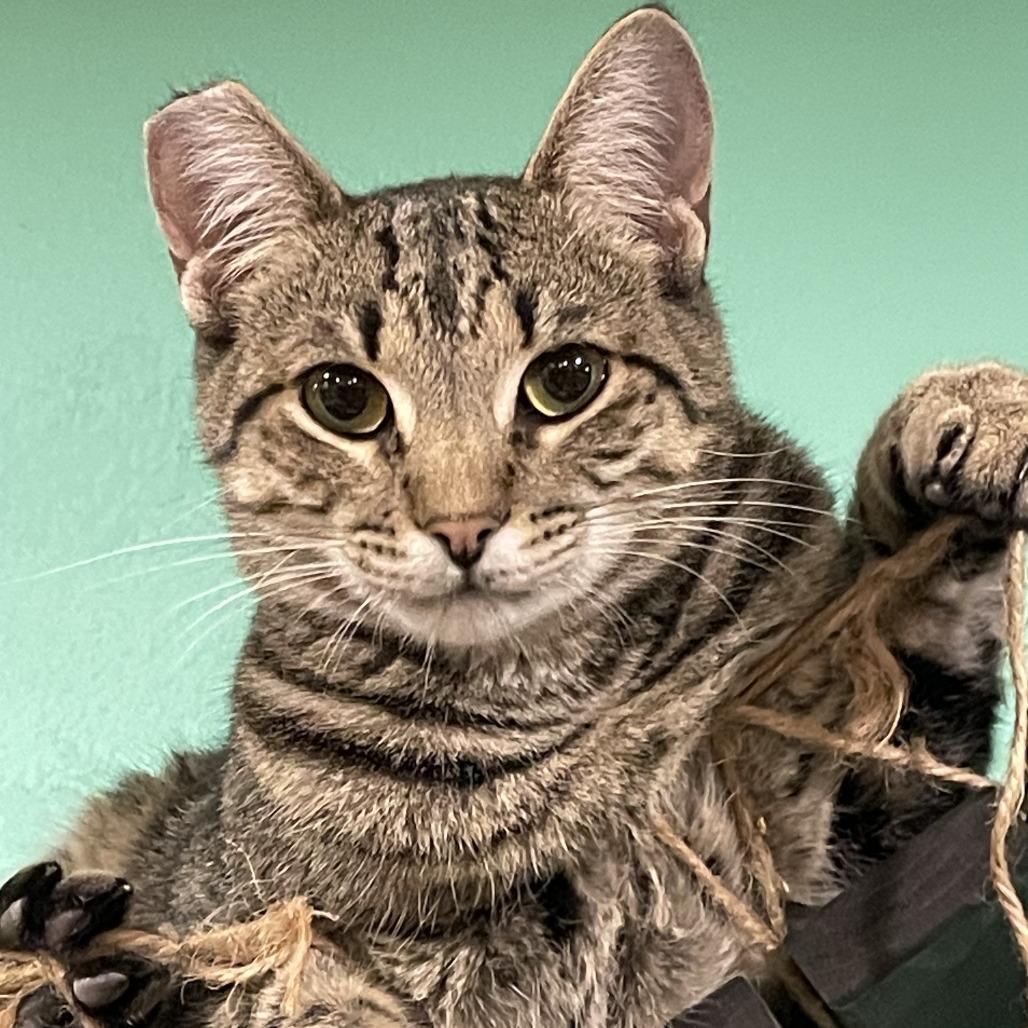 Timothy Catlamet — thumbnail 4