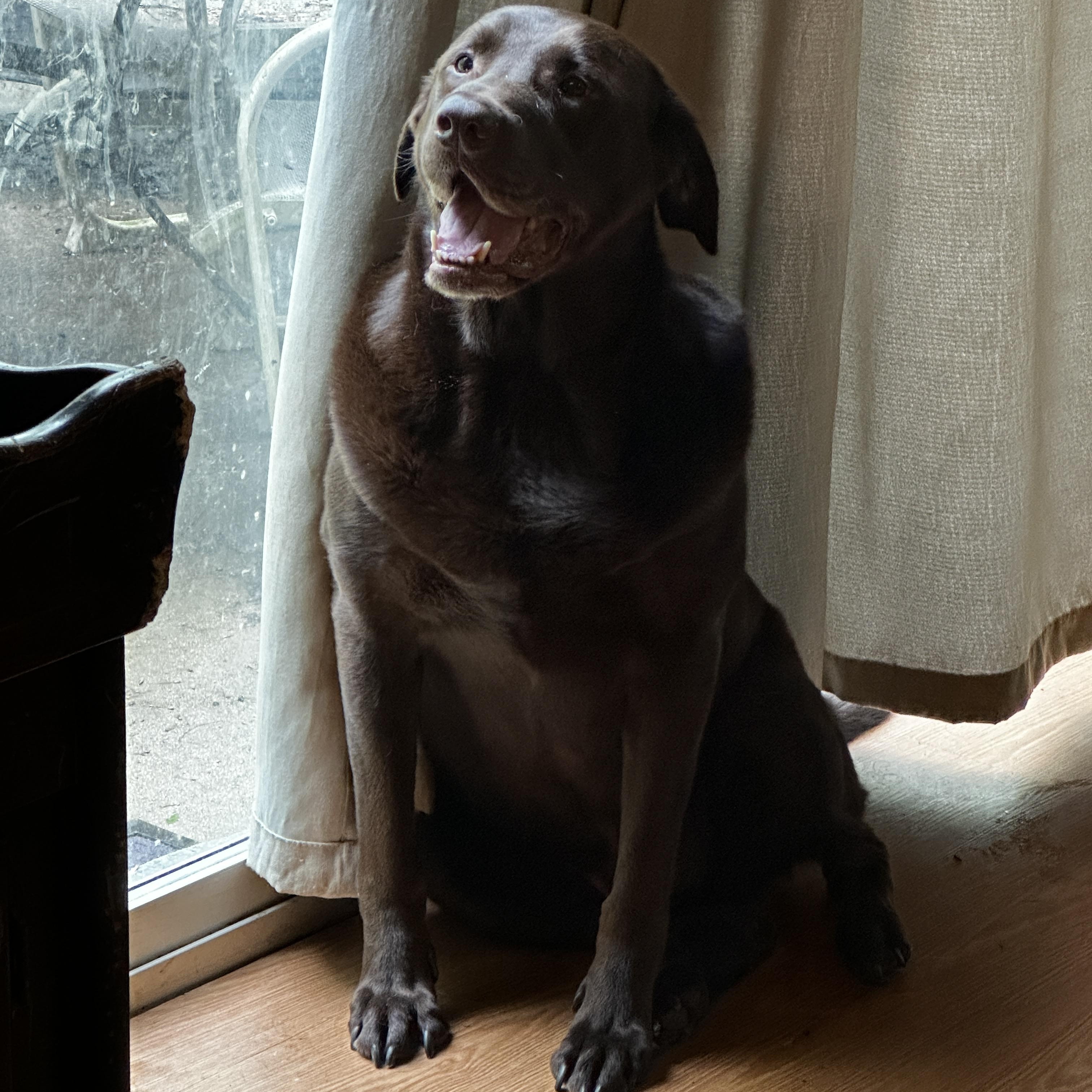 Zeus