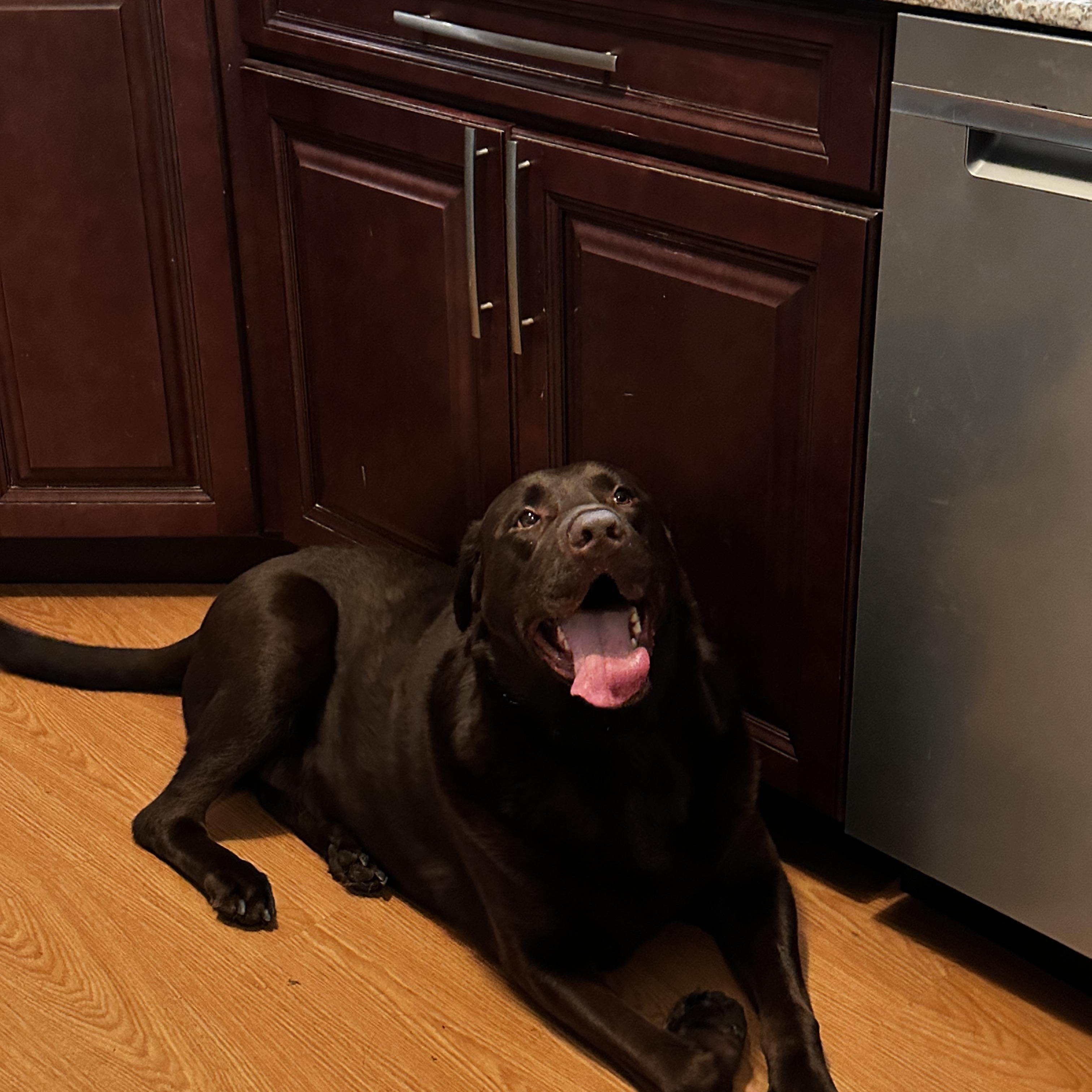 Zeus