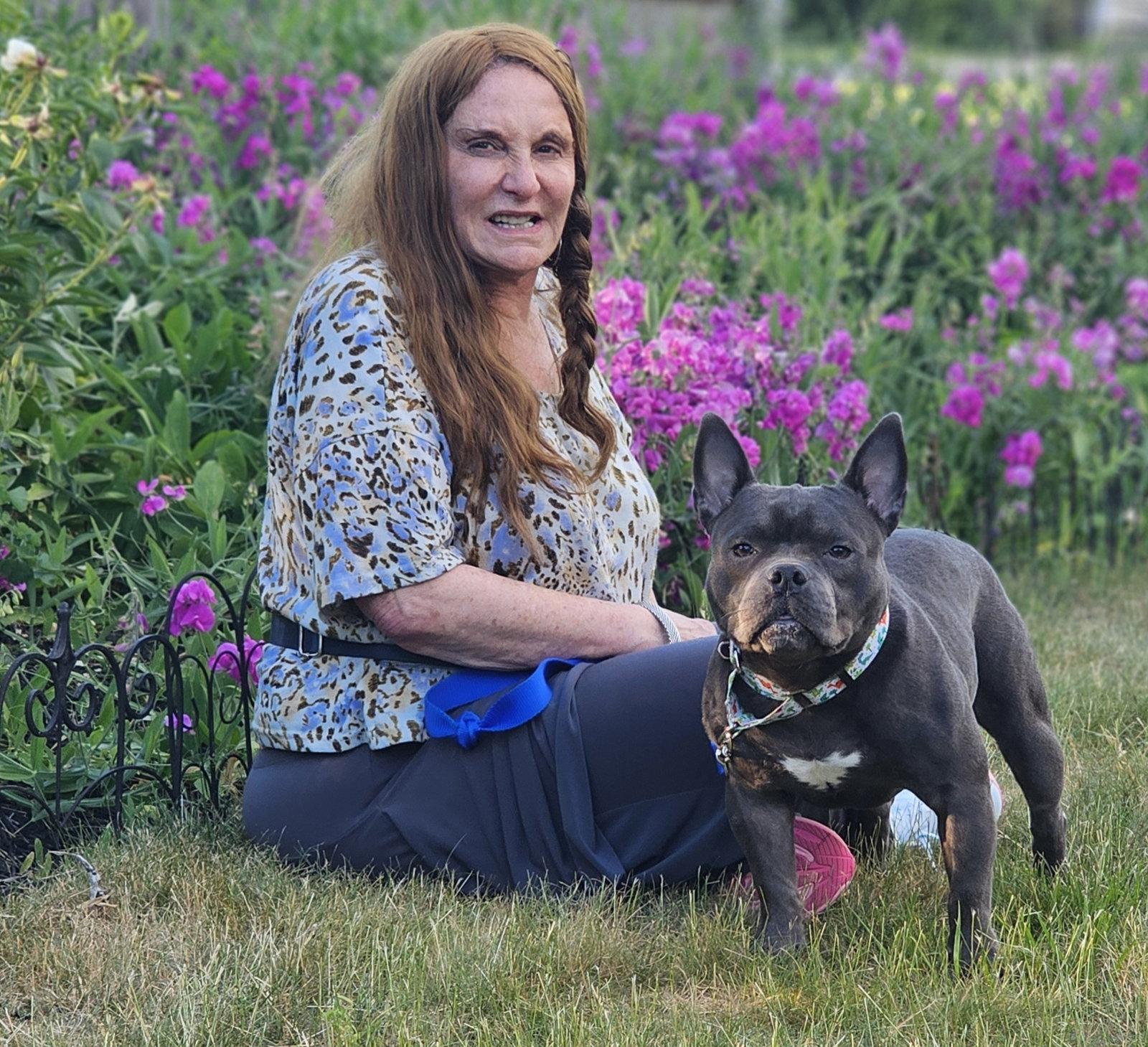 Oliver, a Adopted French Bulldog in Framingham, MA image 3/3