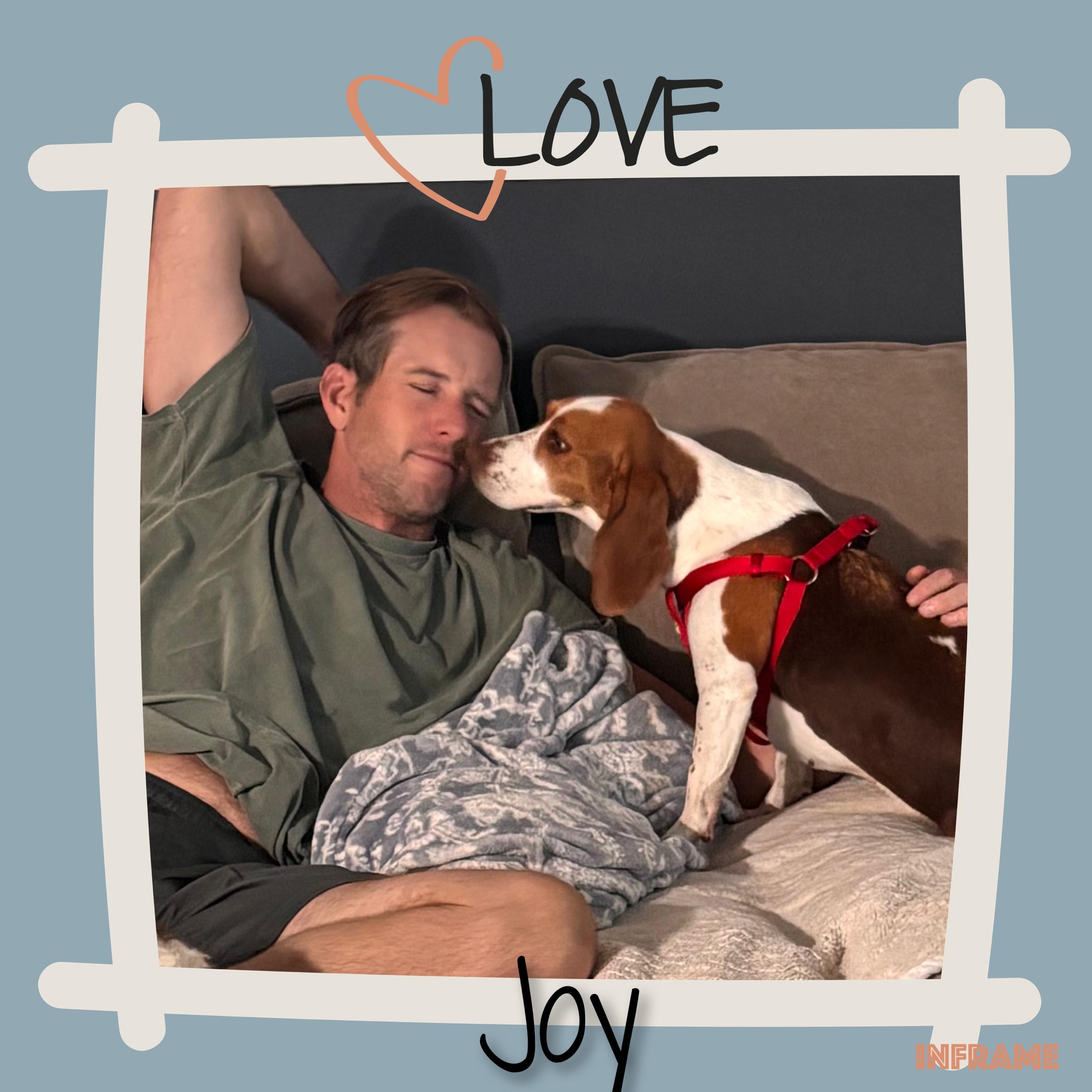 Joy, a ADOPTABLE Beagle in Fredericksburg, VA image 2/6