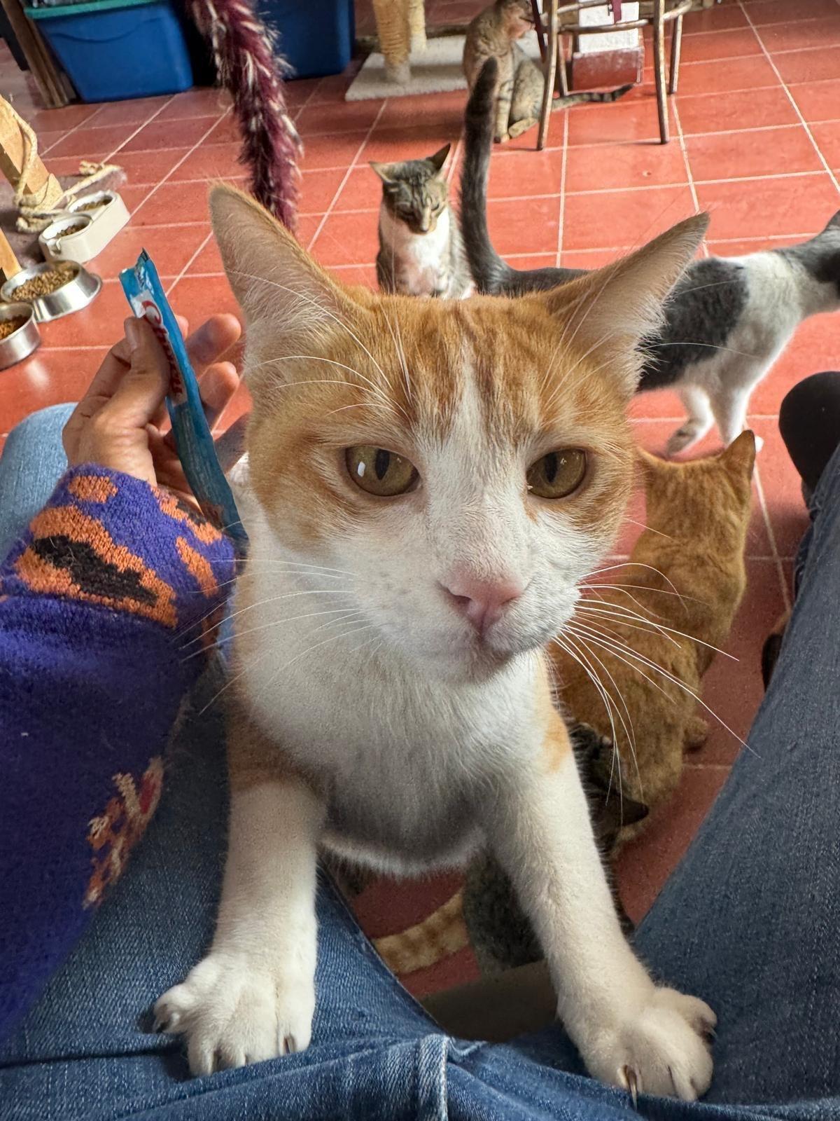 Charlie (bonded with Chaparro)