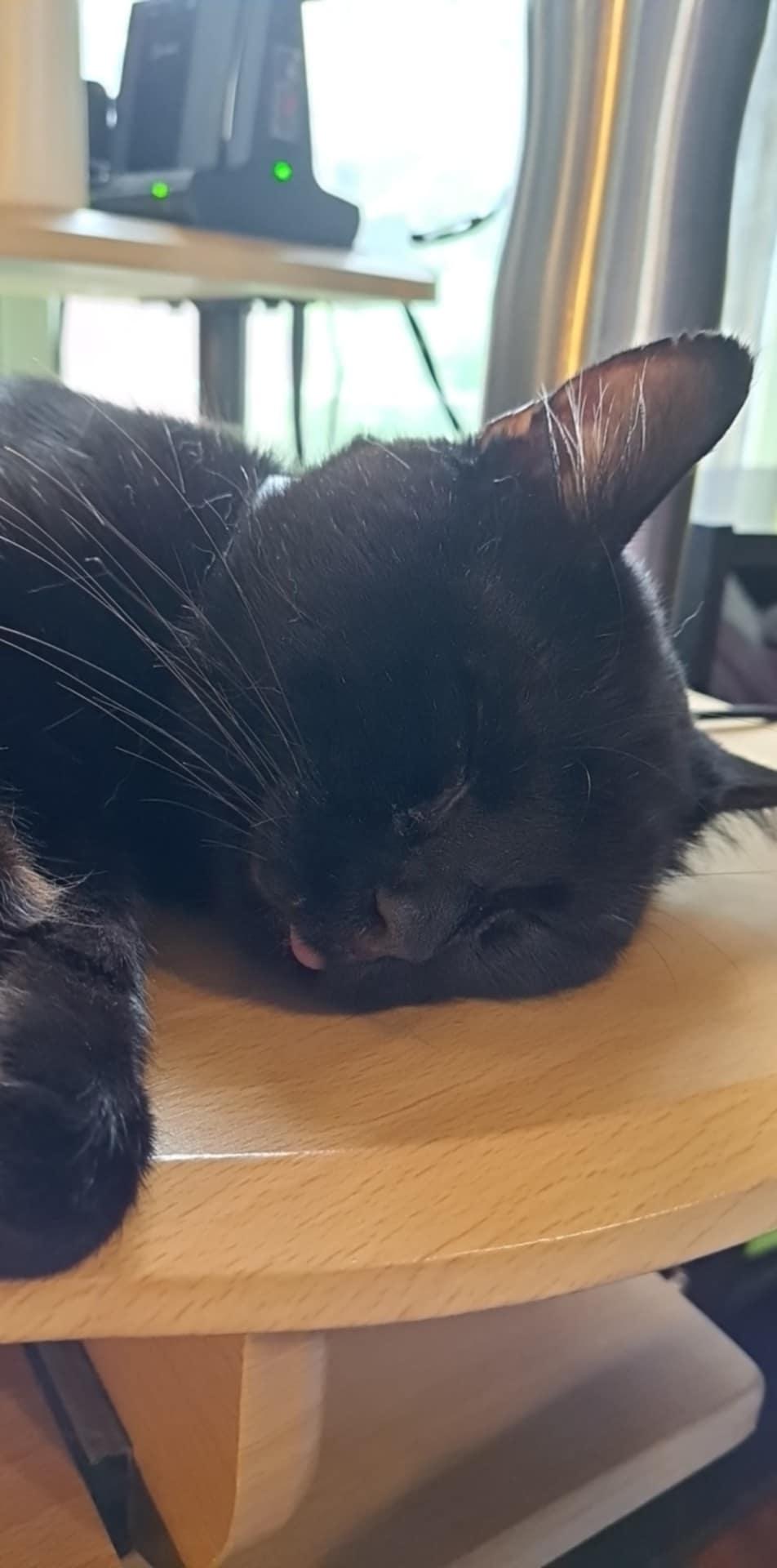 Bleppy