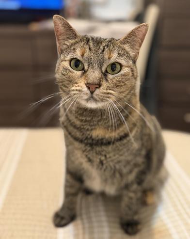 Mila photo