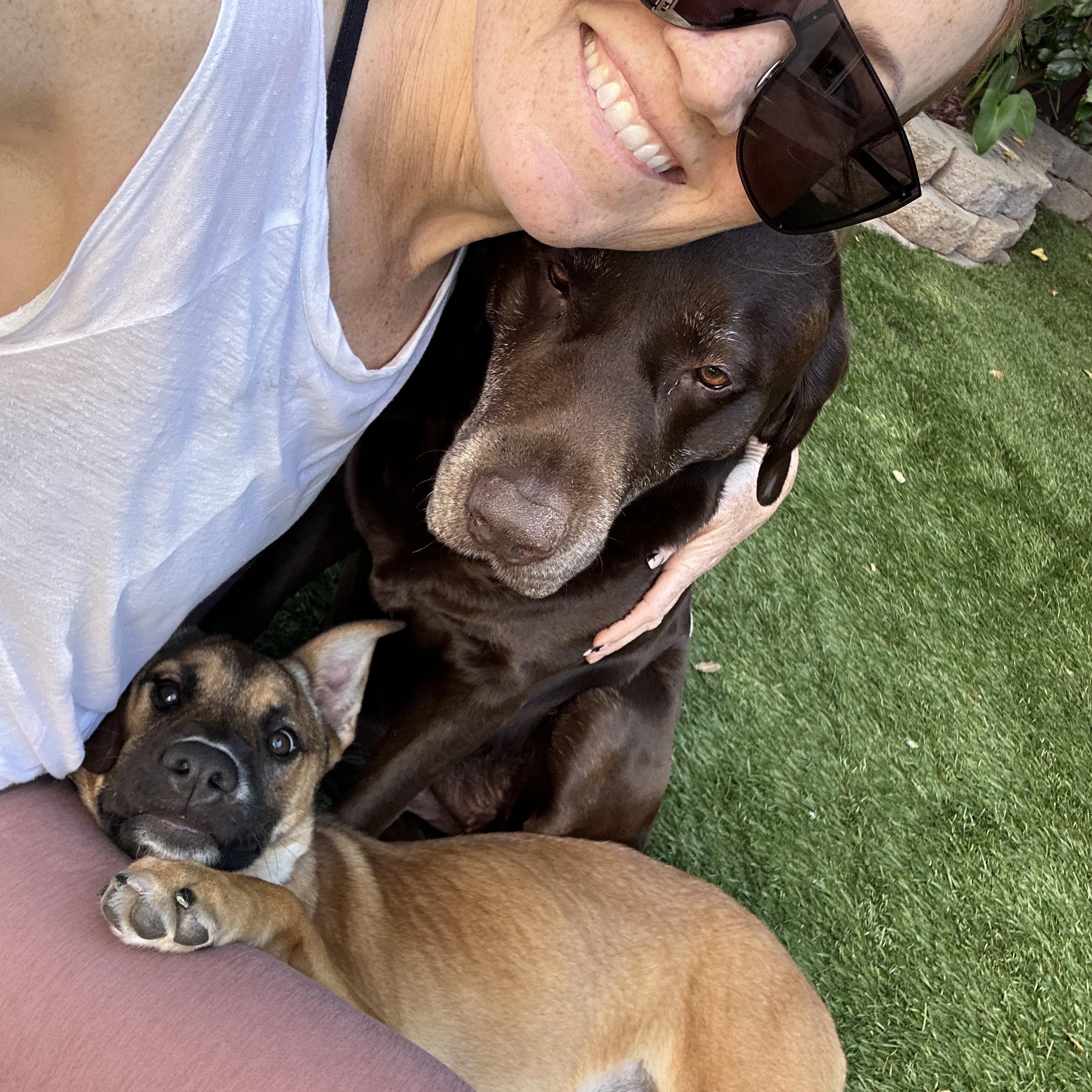 Enlarge INDIE!, a Adoptable mixed breed in Trabuco Canyon, CA image 2/6