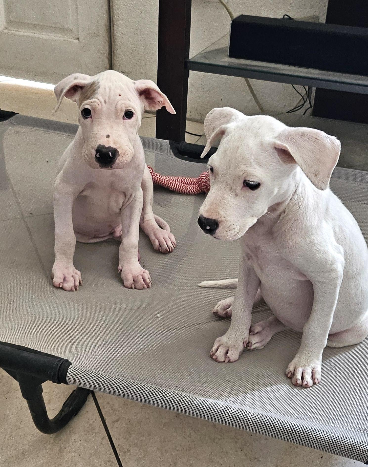 Mindi — thumbnail 4